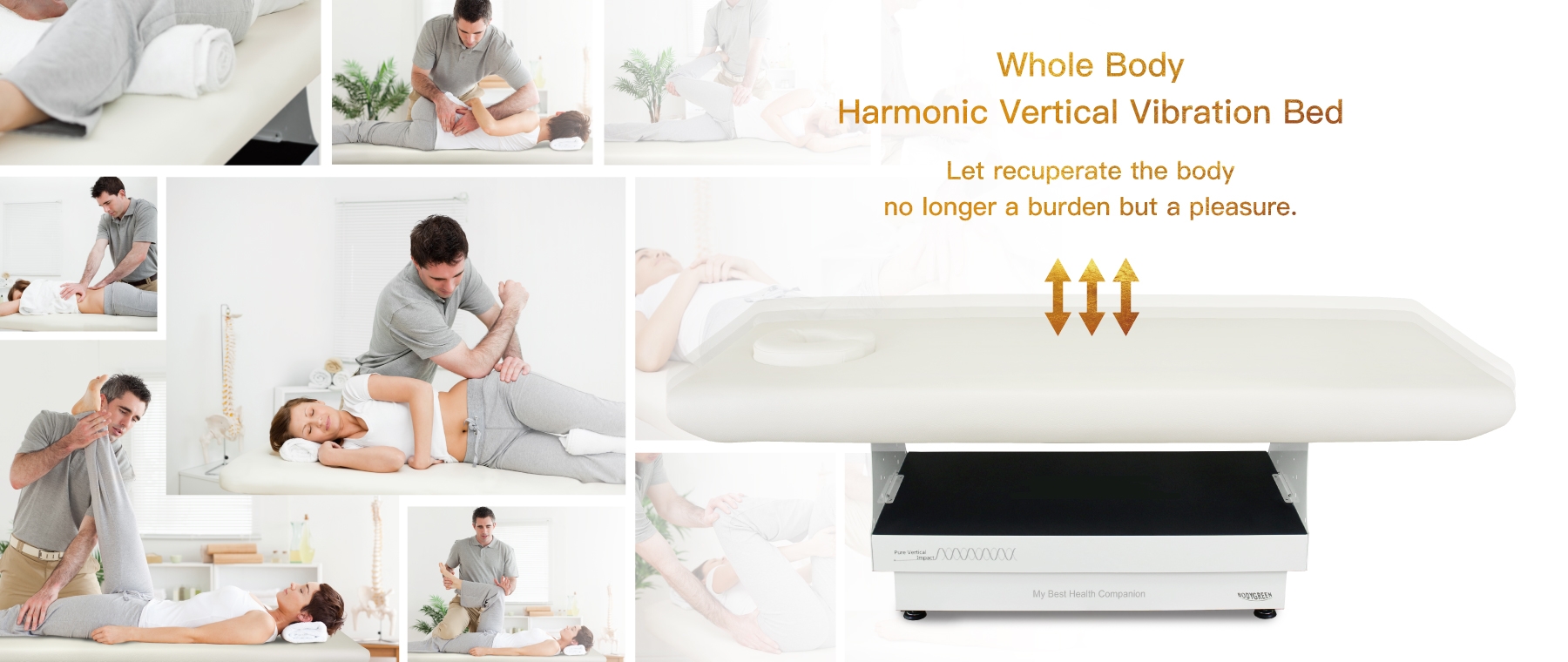 Whole Body Harmonic Vertical Vibration Bed